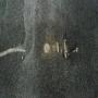 20200131_004926.jpg