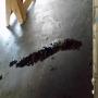20160318_105553.jpg