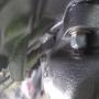 20200721_222901.jpg