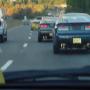 DSC00255.jpg
