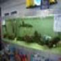 DSC00024.jpg