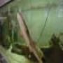DSC00026.jpg