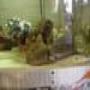 DSC00028.jpg