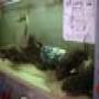 PICT0028.jpg
