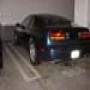 DSC01655.jpg