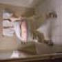 DSC01670.jpg