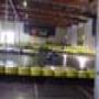 DSC01845.jpg