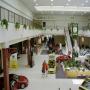 2IMG000.JPG