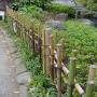 DSC02980.JPG