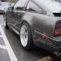 DSC03453.JPG