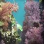 DSC00031.JPG