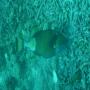 DSC00034.JPG