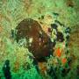 DSC00067.JPG