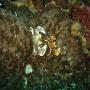 DSC00075.JPG