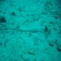 DSC00077.JPG