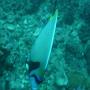 DSC00083.JPG