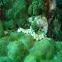 DSC00085.JPG