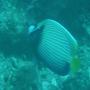 DSC00087.JPG