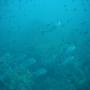 DSC00095.JPG