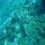 DSC00096.JPG