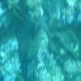 DSC00115.JPG