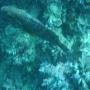 DSC00116.JPG