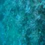 DSC00122.JPG