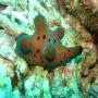 DSC00123.JPG