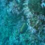 DSC00129.JPG