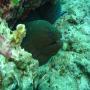 DSC00147.JPG