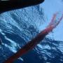 DSC00150.JPG