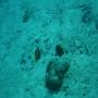DSC00162.JPG