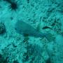 DSC00167.JPG