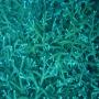 DSC00170.JPG