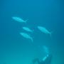 DSC00173.JPG