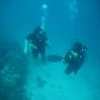 DSC00177.JPG