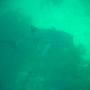 DSC00184.JPG