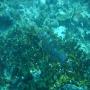 DSC00213.JPG
