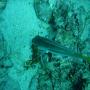 DSC00218.JPG