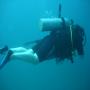 DSC00226.JPG