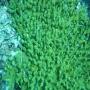 DSC00242.JPG